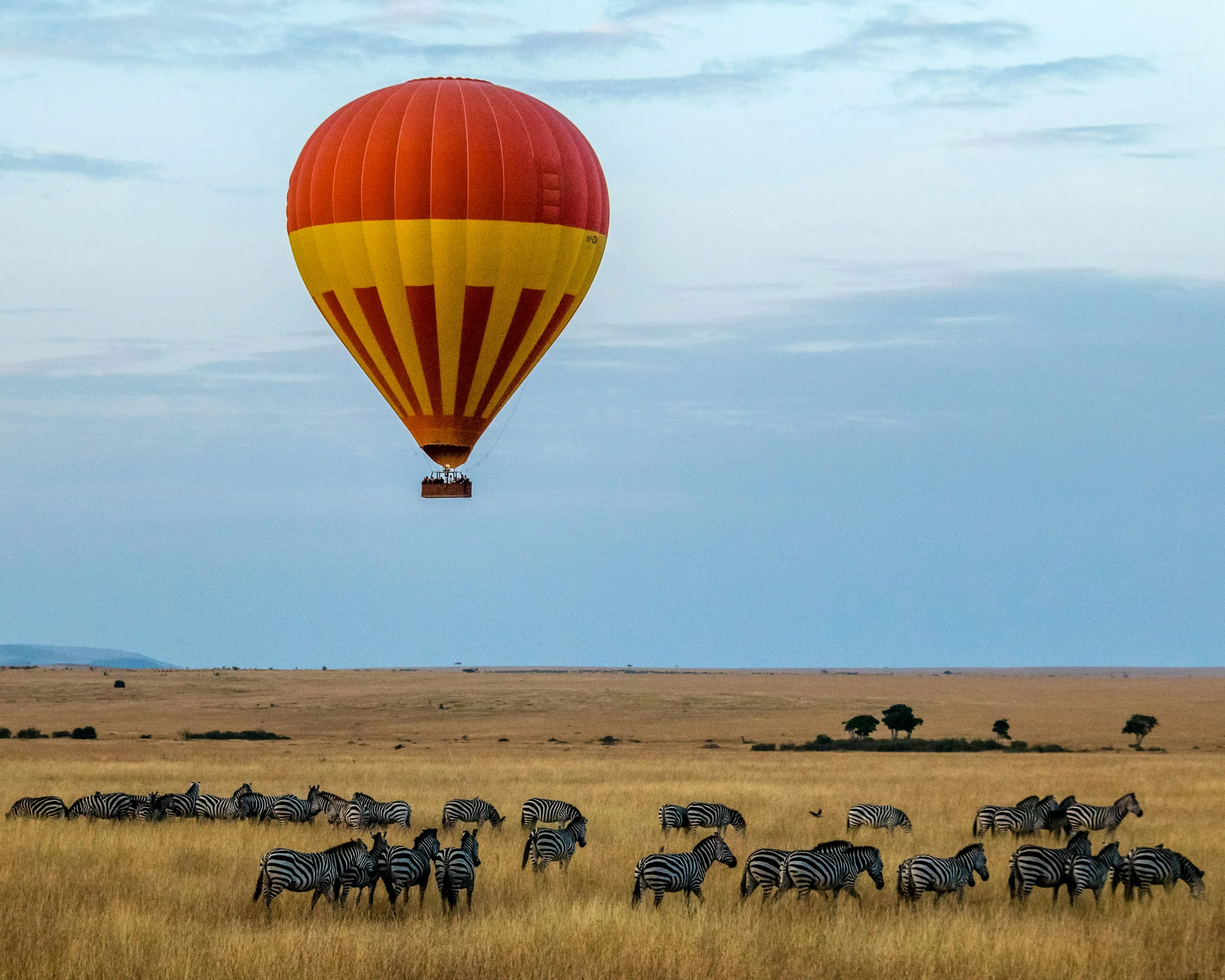 A hot air balloon above zebras on the plains